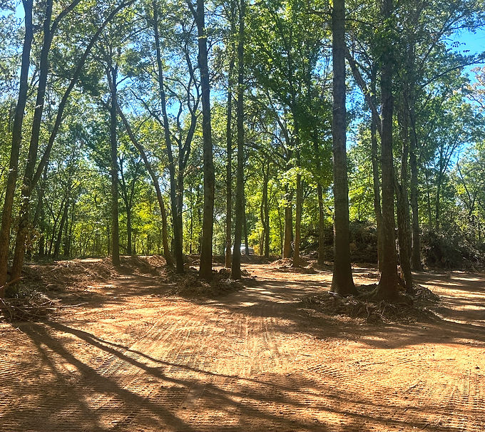 IMG_9816 2_edited.jpg