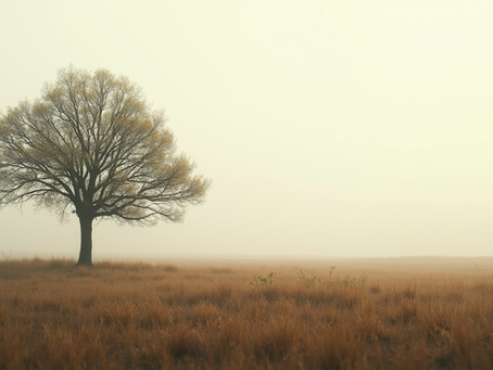 Coaching efficace pour dirigeants et fondateurs