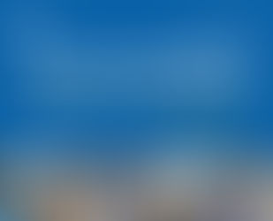 [TEE세미나] 8.12~13 (목~금) 웨비나 WEBINAR