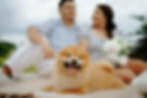 Lifestyle Prenup Photography