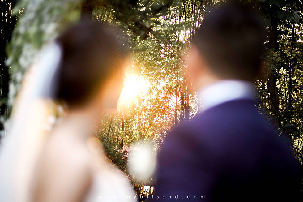 Jardin Rosella Tagaytay Wedding Photos