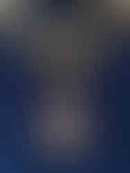 The Portreeve's Chain - showing the  medallion, the Stapledon Arms and the Jubiliee link.