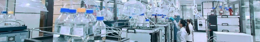 World Chinese Medicine Forum Rectangular (44)_edited.jpg