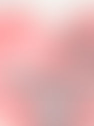 PRESTAÇÃO DE CONTAS DE 2017