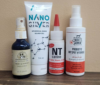 Holistics- Healing_edited.jpg