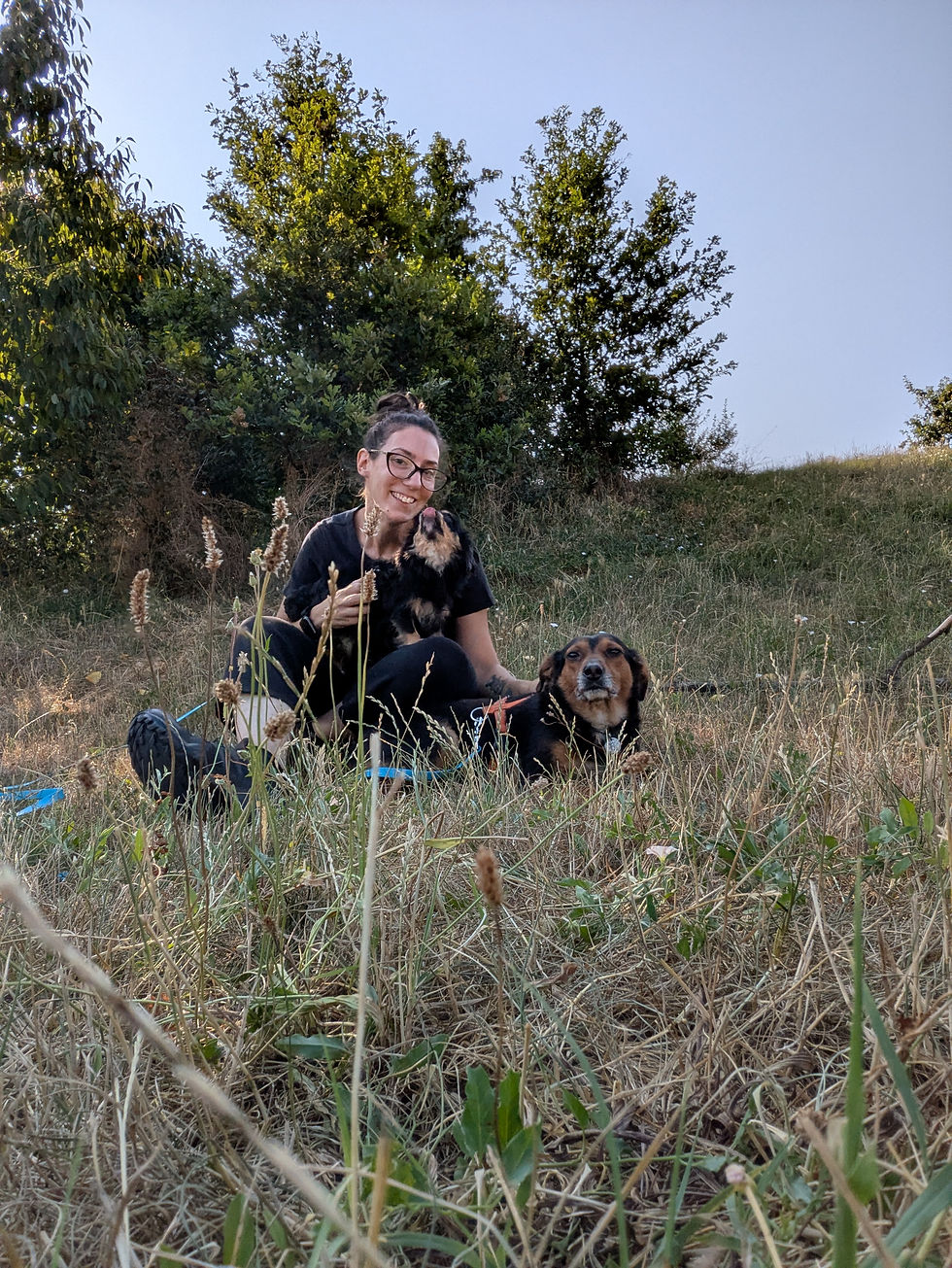 LA PASSEGGIATA SU MISURA: come scegliere luoghi, tempi e ritmi per il proprio cane.