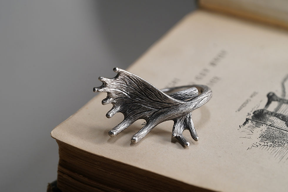 縮圖：MW R1002 The Moose Horn