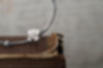縮圖：MW P1200 Fleur Necklace