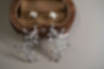 縮圖：MW E1017 The 925 Silver Vine Studd Earrings