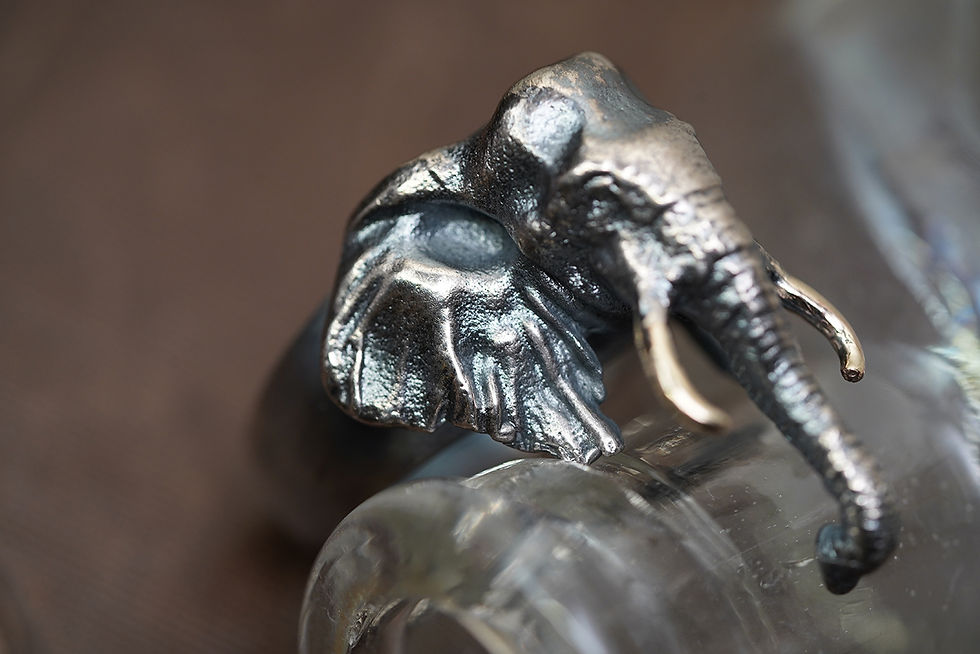縮圖：MW R1060 Elephant Ring