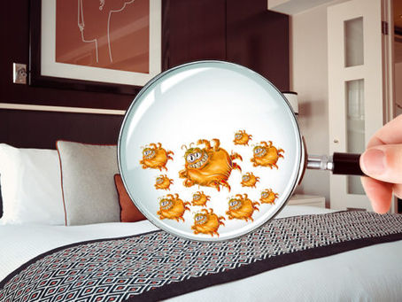 Ácaros no colchão: como identificar, eliminar e prevenir