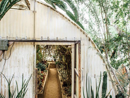 Article-21 Garden in the Desert