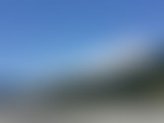 Get a Taste of Local Bounty