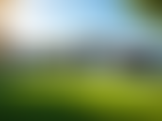 Lakewood Ranch Home Buying: Finding Your Dream Home in Lakewood Ranch