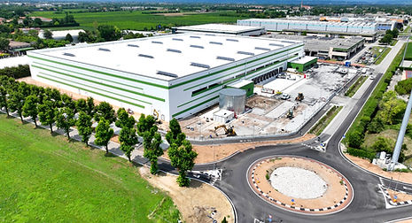 VILLORBA BONZAI 1_edited.jpg