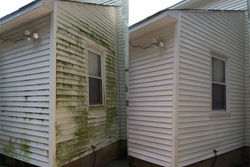 Mold_Before_After.jpg