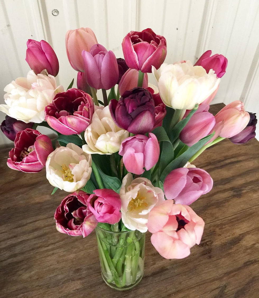 Thumbnail: Specialty Tulips ~ 20 Stems