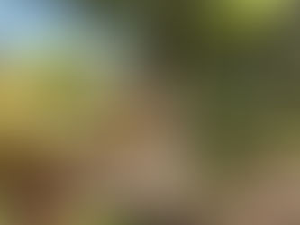 Classic Costa Rican Proverbs