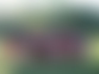 Leslie Kerrigan Photography