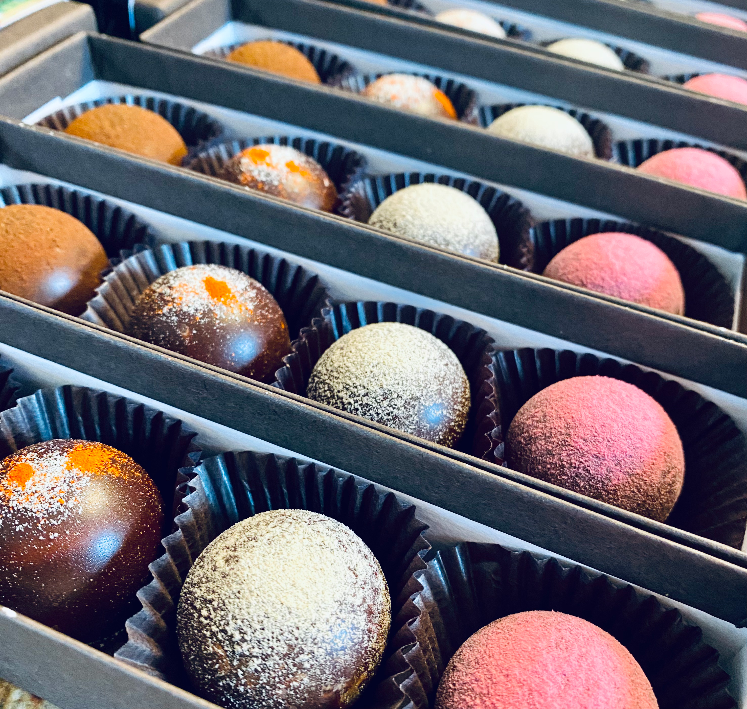 Northeast Kingdom Collection