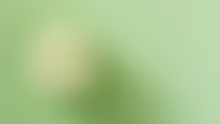 Wooden block with a green checkmark, surrounded by smaller green checkmarks, on a light green background. 