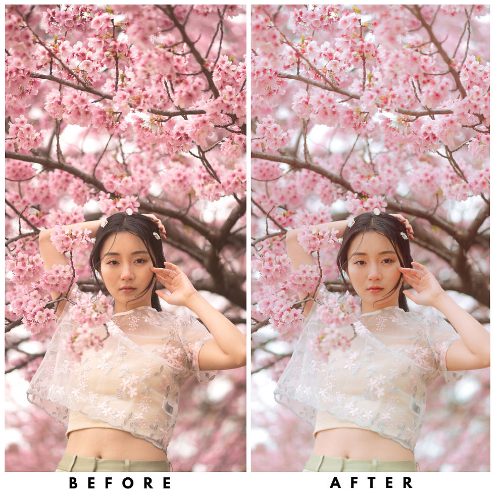 Miniatura: Ellie's Sakura Season ESSENTIALS