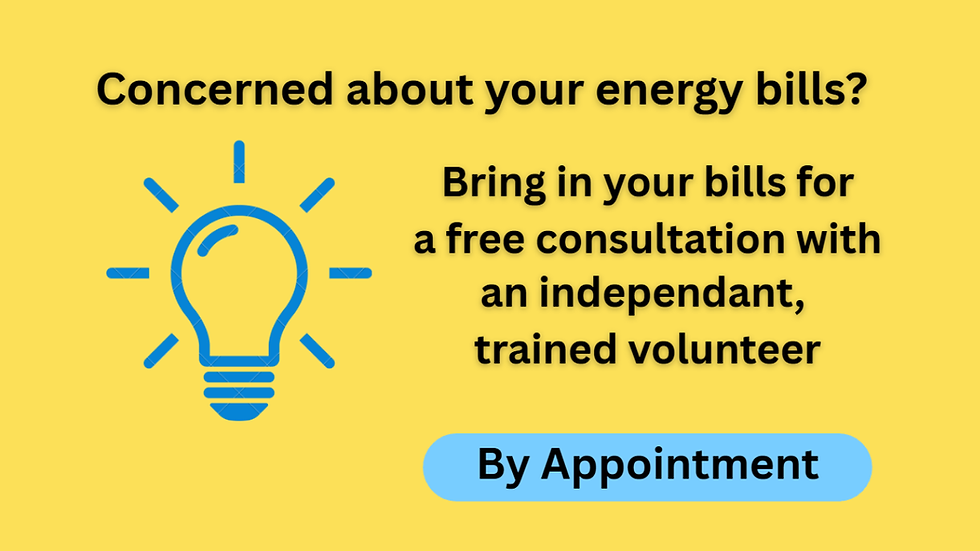 Review Your Energy Bills: One-on-one help
