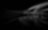 P36-Experience and Collaborations copy.jpg