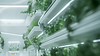 Project Renderings_4-10-2024.076.png