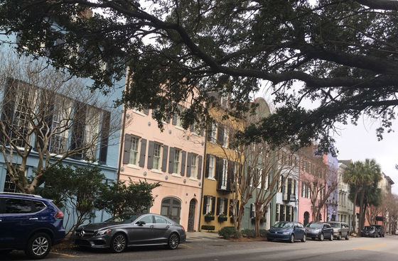 Striking Insights of Everyday Proportions in Charleston