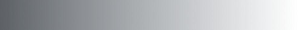 Frame 11.png