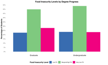 Food Insecurity Levels by Degree Progress