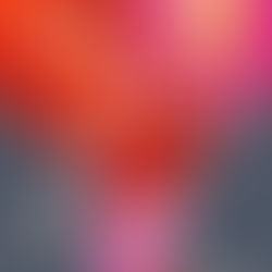 The Death of Vivek Oji