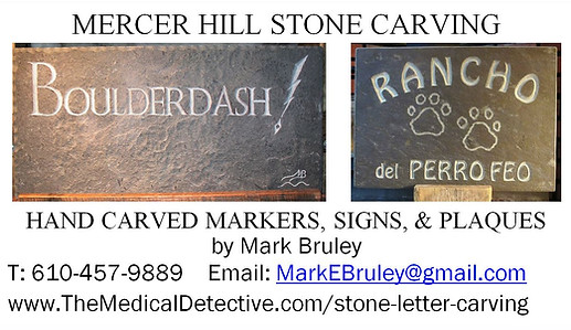 Mercer Hill Stone Carving Bus Card 2020.