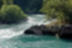 Image: Freepik