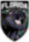 fca.png