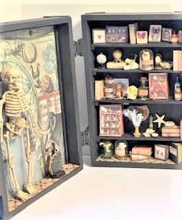Curiosity Cabinet 1