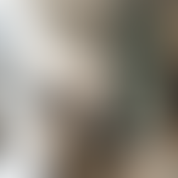 The Experiential & Omnichannel Retail Strategy: How Retail Cafés Are Bridging Digital and Physical Shopping