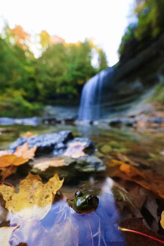 Bridal veil falls autumn.jpg