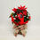 Thumbnail: Poinsettia Christmas Plant