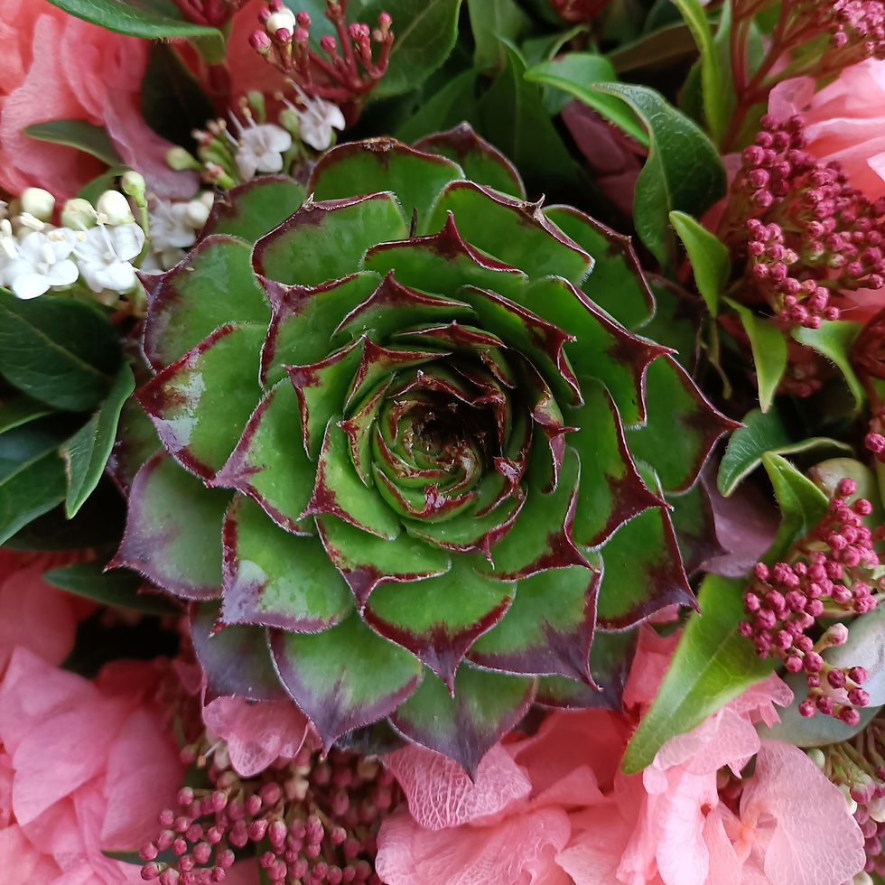 Thumbnail: Succulents Bouquet Large3