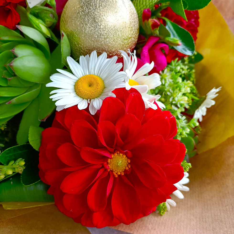 Thumbnail: Christmas Seasonal Blooms2