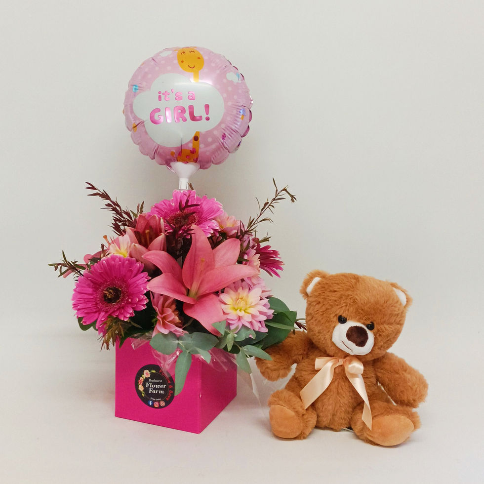 Thumbnail: Baby Girl Gift Package