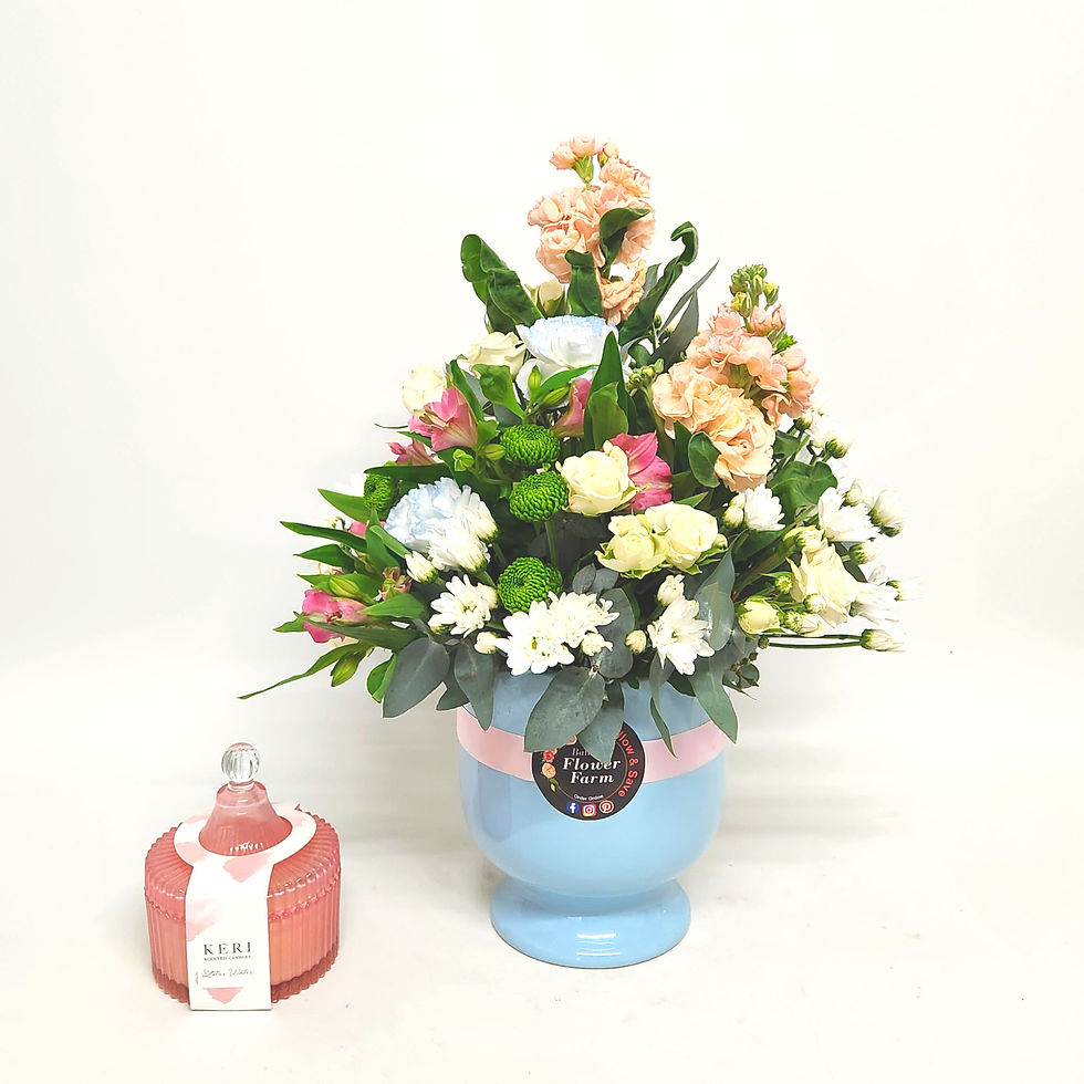 Thumbnail: Pot Arrangement2