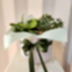 Succulents Plant Pot Large