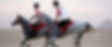 egyptian_equestrian_federation_endurance_edited_edited.jpg