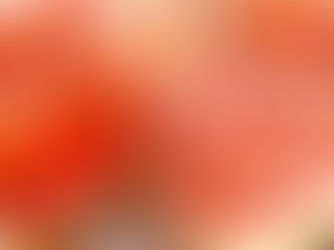 Le pomelo : un agrume géant et vitaminé.