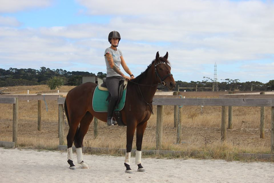 Thumbnail: Shory Park Spider (Spider)