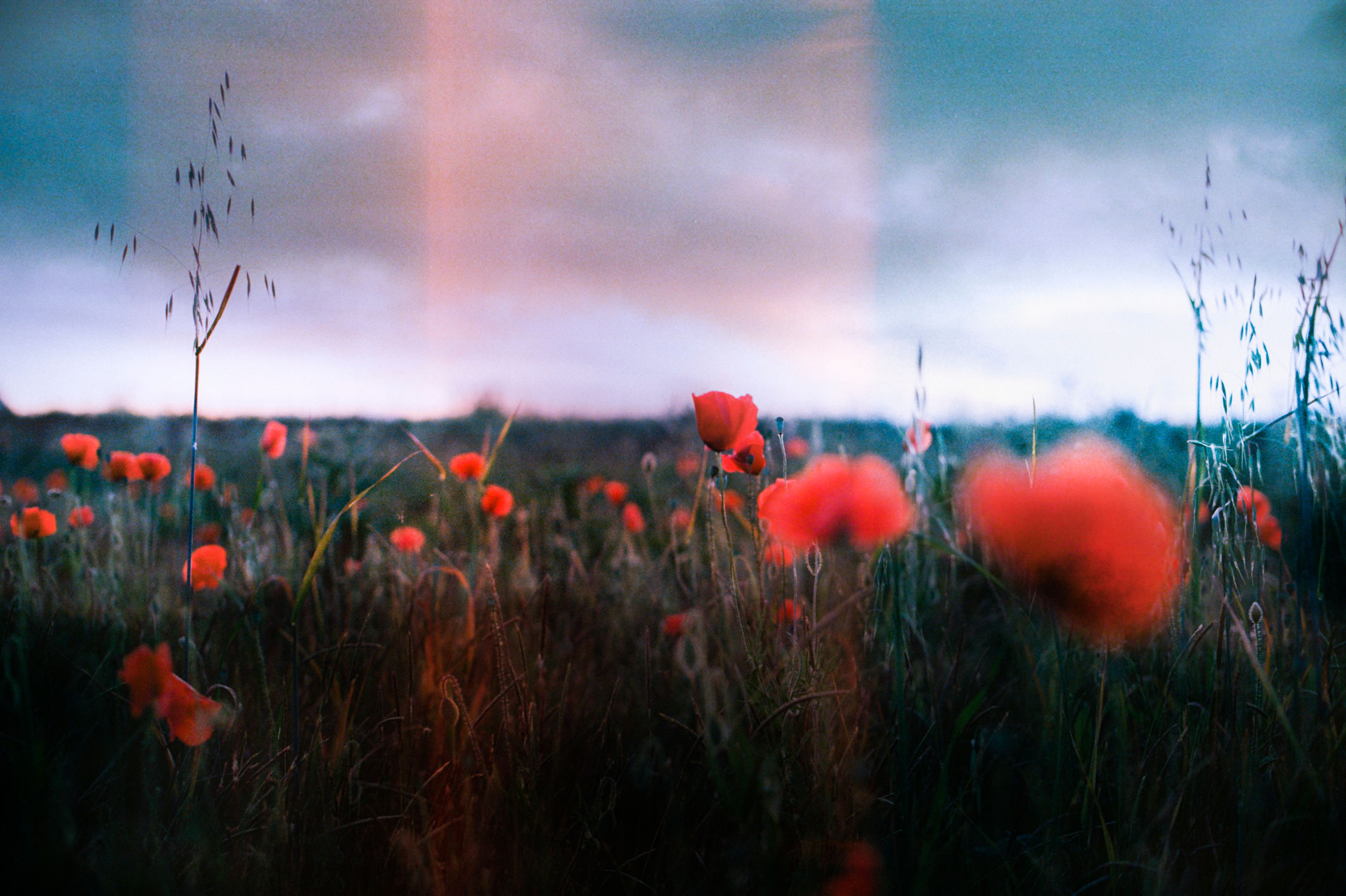 Illusionne Persistente