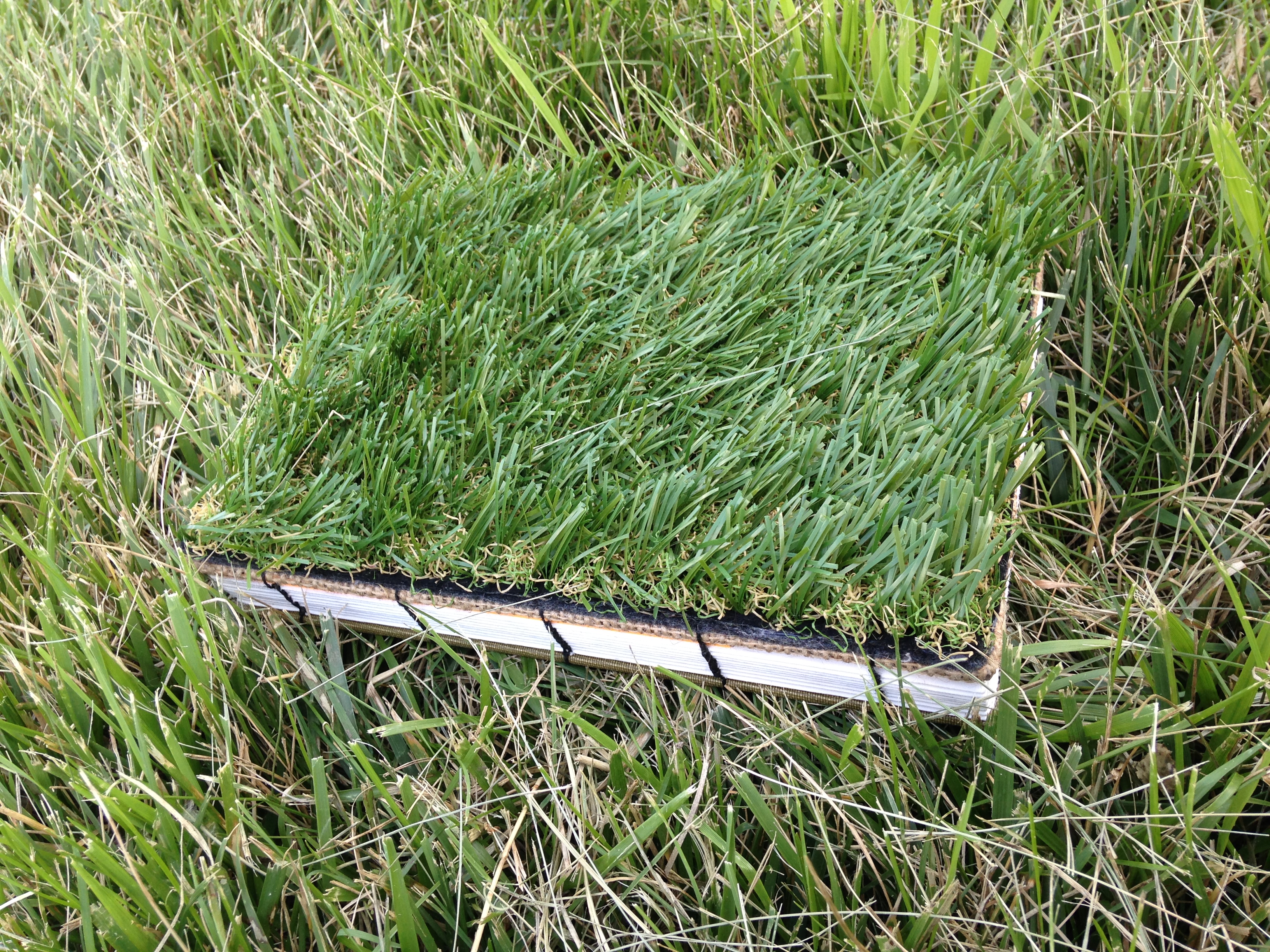 Grass Book